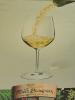 CATA 50 VINOS RIAS BAIXAS