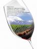 CATA VINOS ARGENTINOS 2013
