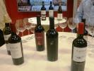..::ARGENTINA GASTRO::..
