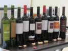 CATA VINOS ARGENTINOS
